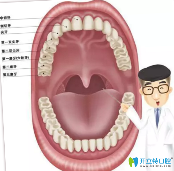 菏泽美尔口腔告诉你30岁还能矫正牙齿吗？需要注意些什么？