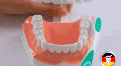 巴氏刷牙法步先刷上下牙的外侧