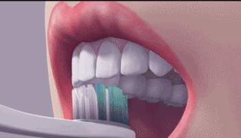 刷牙齿的咬合面