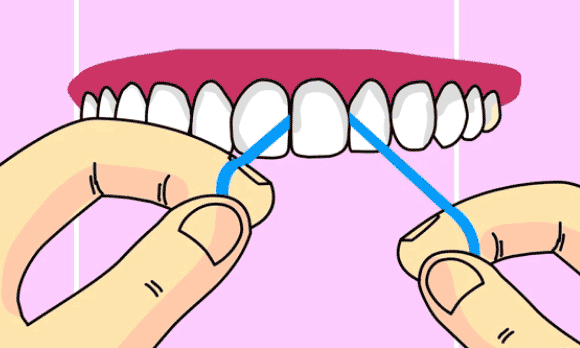 牙线使用方法三将牙线弯成C形进行清理牙缝
