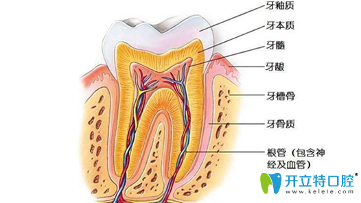 牙齿神经痛成因/症状/治疗方法深度揭秘 牙痛患者必看宝典