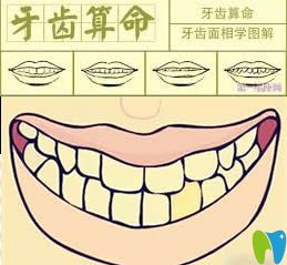 人的牙齿有多少颗？网传28颗牙齿的命运是大贵之人真的吗
