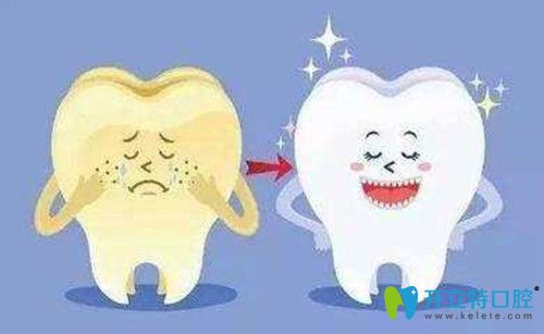 洗牙与牙釉质的关系