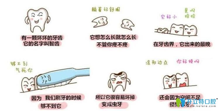 什么是尽头牙