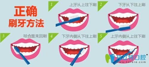 饭前饭后的正确刷牙方法 饭前饭后的正确刷牙方法