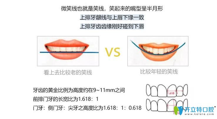 美莱口腔牙齿黄金分割比例图