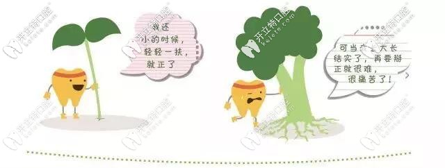 牙齿生长卡通图 牙齿生长卡通图