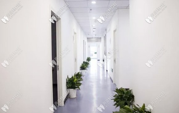 宁波首美口腔诊疗中心走廊