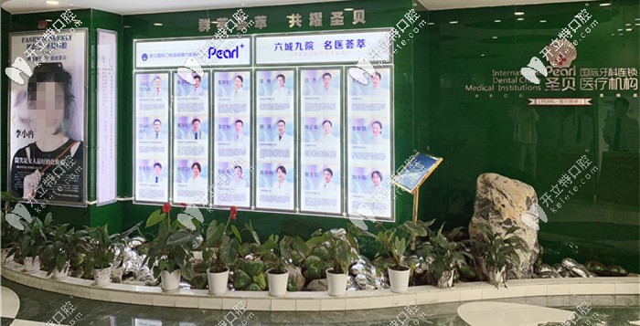 <!--<i data=20240703-sp></i>-->（原圣贝）口腔医生陈列区