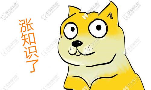 厦门麦芽口腔医院价格表