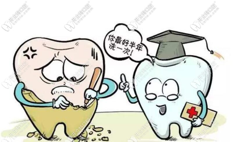 保护牙齿的办法是半年要洗牙一次哦