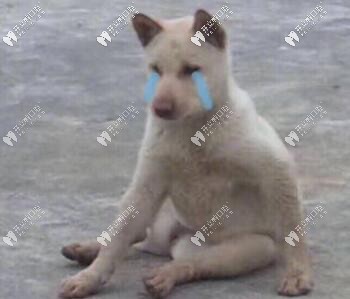 难为情 难为情