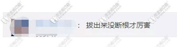 网友感叹拔出来没有断根真的很厉害 网友感叹拔出来没有断根真的很厉害