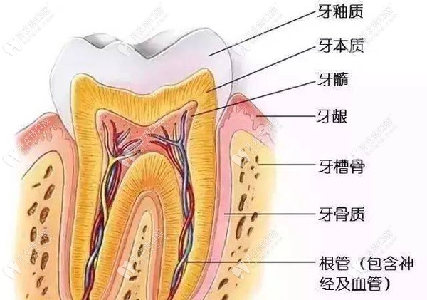 根管遗漏的问题